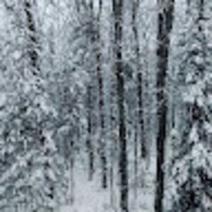 Meet your Posher, Rob